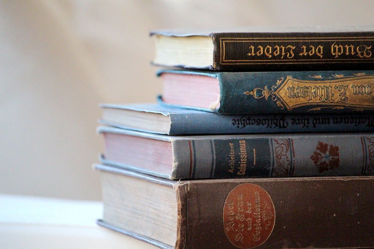 Plan de lectura y bibliotecas escolares